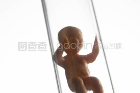http://wulumuqi.nbgk120.com/post/209.html|乌鲁木齐捐卵费用
