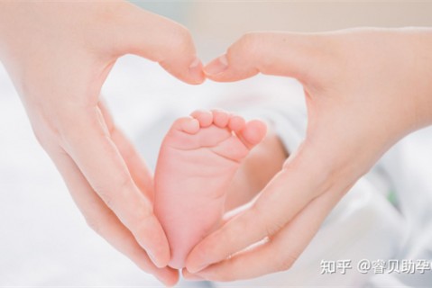 夏天乌鲁木齐捐卵宝宝发烧 莫要急