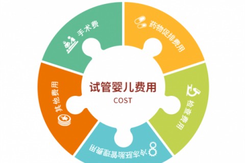 乌鲁木齐捐卵宝宝肚痛，父母该怎么办？